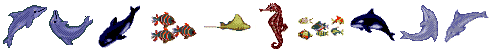 ecco-strip.gif (4788 bytes)