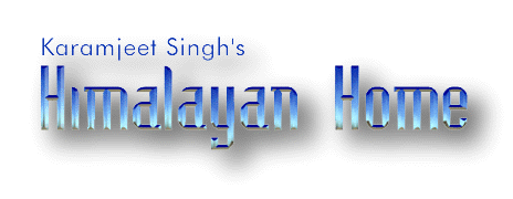 Karamjeet Singh's Himalayan home