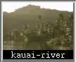 kauai-river.jpg