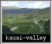 kauai-valley.jpg
