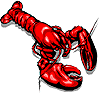 Lobster Cam