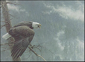 The Air, The Forest and The Watch by Robert Bateman