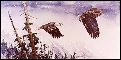Where Eagles Dare by John Potter