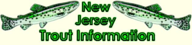 New Jersey Trout Fishing Information