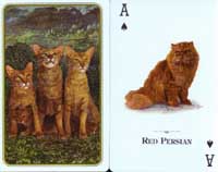 CatsOfTheWorld