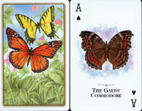 Butterflies