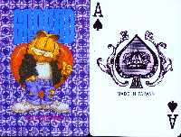 Garfield