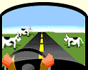 Picture of Cow Crossing