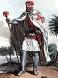 Picture of a Knight Templar