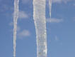 Picture of icicle