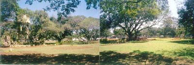 Whitefield, change of the old guard