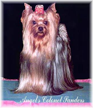 colonel