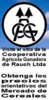 Cooperativa Agrícola Ganadera de Rauch Ltda, conozca los precios orientativos del Mercado de Cereales