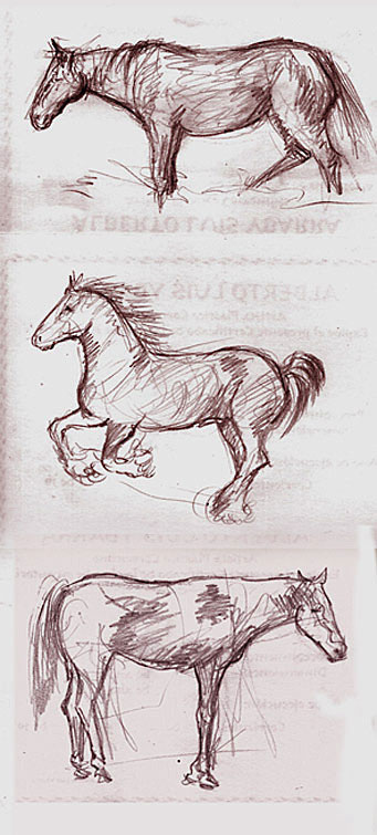 tres caballos (dibujo a lapiz) animales