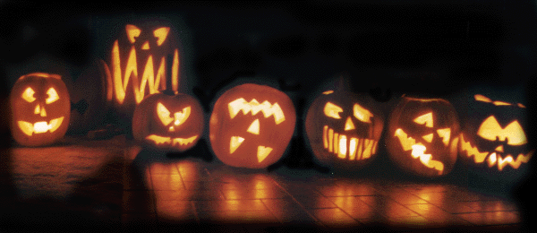 A line of 1998 Jack o' Lanterns leers with fiery eyes.