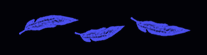 blue feathers