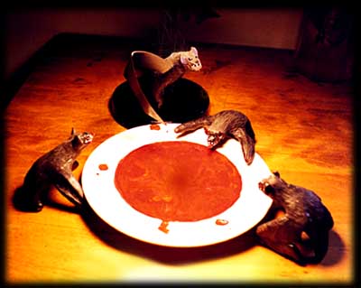The Vampires at their dish of blood.