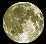 moon2.gif