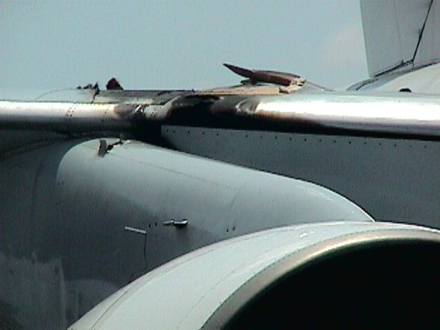 saafire1.jpg (35113 bytes)