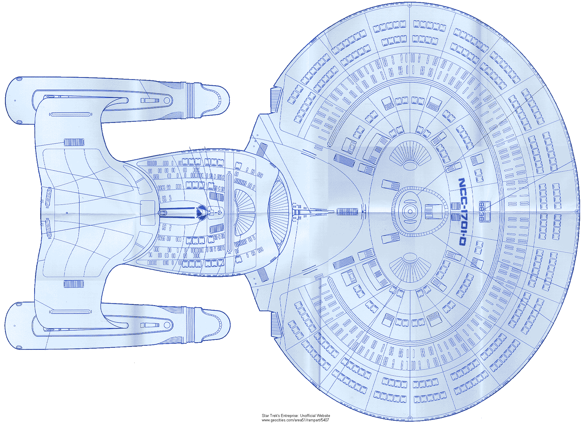 Ventral Surface Plan View