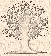 Genealogy Tree