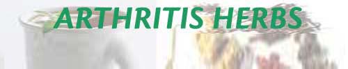 Arthritis Herbs Diabetes Treatment