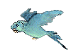 blue bird