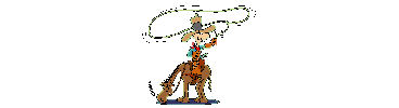 roping cowboy