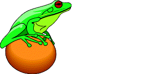  frog eating