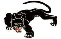 panther