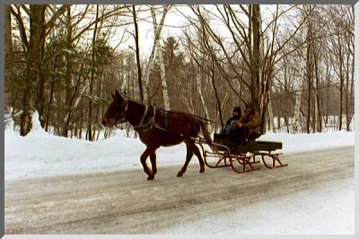 by essay evening snowy stopping wood by essay evening snowy stopping wood