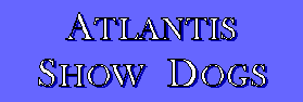 Atlantis 		Show Dogs