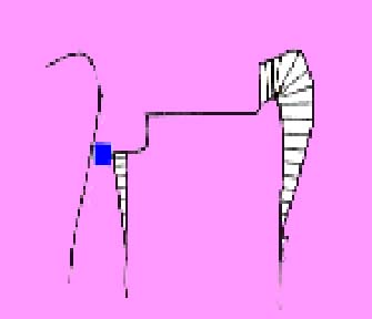 In addition to other reasons, wedges are used to seal gingival but not proximal margins