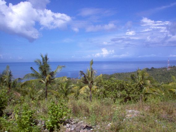 Flatland for sale 19000sqm | 1,90 hectare the best ocean view