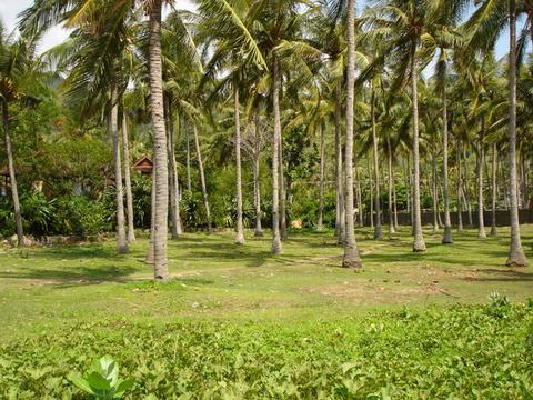 Lands for sale next Holiday Inn resort hotel Senggigi Beach Lombok
