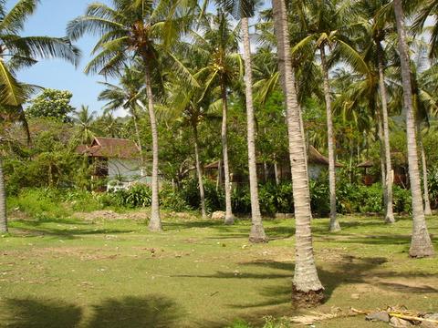 Lands for sale next Holiday Inn resort hotel Senggigi Beach Lombok