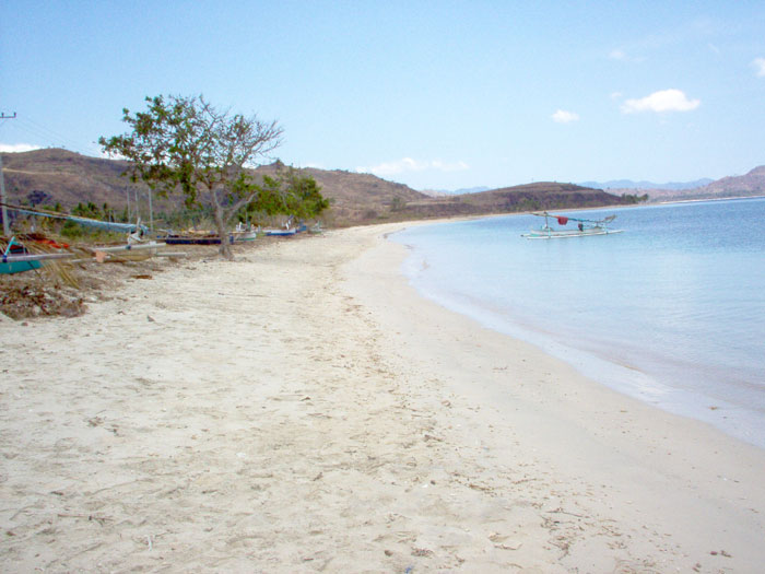 Land for sale on Sekotong Lombok Indonesia