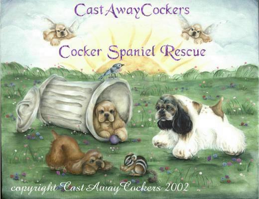 CastAwayCocker rescue