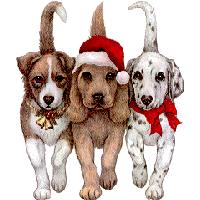 christmas dogs front