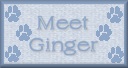 See Ginger's Page