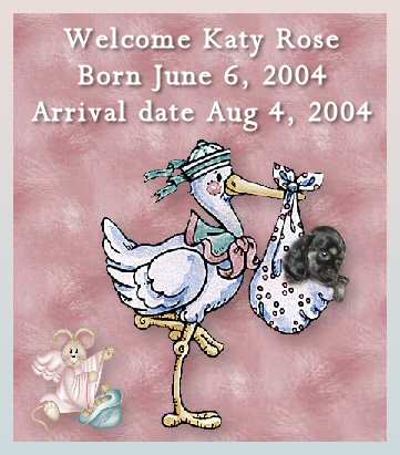 Katy Rose Banner