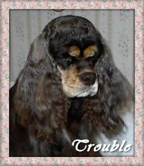 Trouble