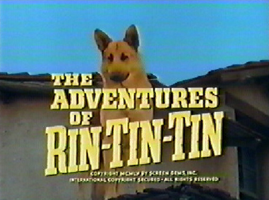 Old Tv Show Rin Tin Tin Name Of The Dog Old Tv Show Rin Tin Tin Name Of The Dog