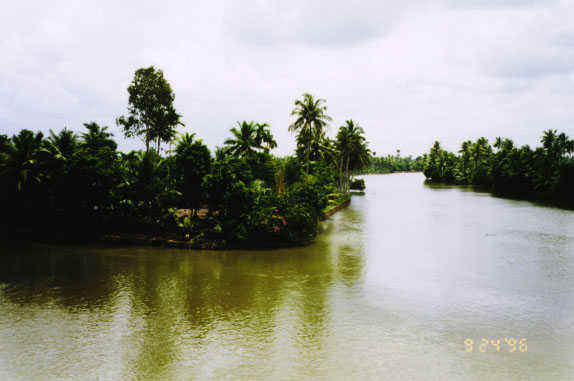 backwater