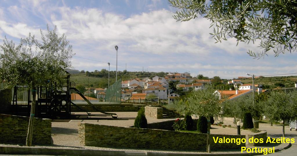 Vista de Valongo dos Azeites - Portugal
