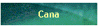 Cana