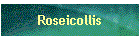 Roseicollis