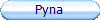 Pyna