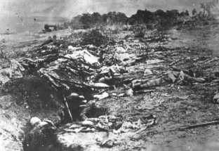 Die Grausamkeit des Krieges: Tote französische Soldaten in einem Graben auf der Höhe 304, 1916