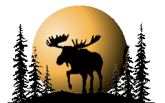 Moose, Moon and Trees  (11355 bytes)
